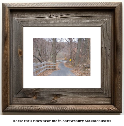 horse trail rides near me in Shrewsbury, Massachusetts